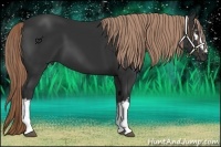 Horse Color:White Spotted Liver Chestnut 
