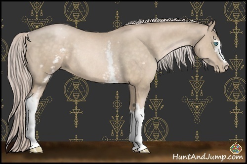 Horse Color:White Spotted Chocolate Palomino Pearl Rabicano 