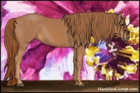 Horse Color:Chestnut Rabicano 