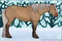 Horse Color:Silver Bay Dun