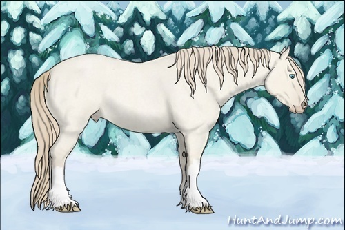 Horse Color:Smoky Creme Roan Dun 