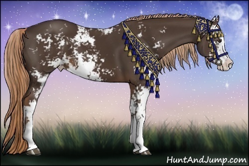 Horse Color:Liver Chestnut Sabino 