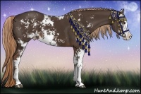 Horse Color:Liver Chestnut Sabino
