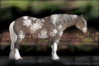 Horse Color:White Spotted Silver Black Ice Tobiano Rabicano