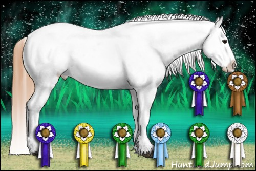 Horse Color:Grullo Pearl Sabino Varnish Rabicano  and Grullo Pearl Sabino Varnish Rabicano 