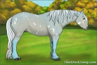 Horse Color:Watercolor White Spotted Silver Brown 