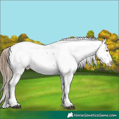 Horse Color:Liver Red Dun Pearl Snowcap