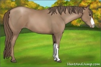 Horse Color:Black Pearl 