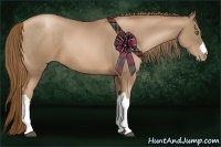 Horse Color:Liver Chestnut Pearl 