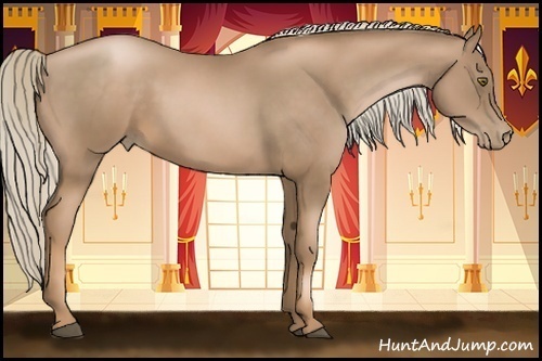 Horse Color:Liver Chestnut Pearl 