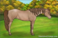 Horse Color:Brown Pearl