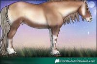 Horse Color:Liver Red Onyx Pearl 