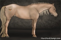 Horse Color:Liver Chestnut Pearl 