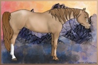 Horse Color:Liver Chestnut Pearl 