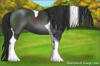Horse Color:Black Sabino Tobiano 