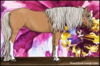 Horse Color:Silver Bay 