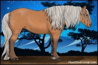 Horse Color:Silver Bay