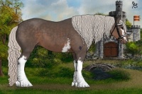 Horse Color:White Spotted Silver Black 