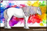Horse Color:Nacre Watercolor Silver Black Sabino Splash Rabicano 