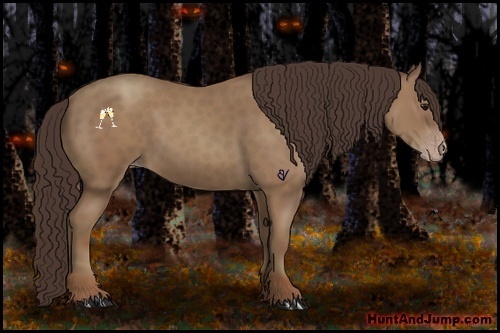 Horse Color:Classic Champagne 