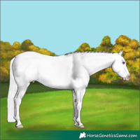 Horse Color:Silver Sable Champagne Chinchilla Onyx Sabino Splash Varnish and Silver Sable Champagne Chinchilla Onyx Sabino Splash Varnish