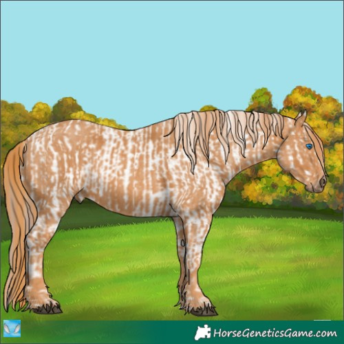 Horse Color:Brown Sabino Splash Tobiano Varnish  Brindle