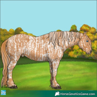 Horse Color:Brown Sabino Splash Tobiano Varnish Brindle