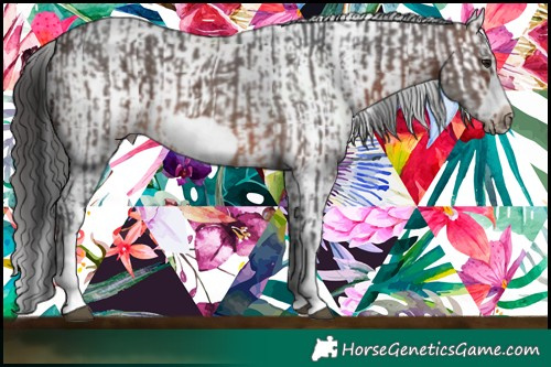 Horse Color:White Spotted Brown Mushroom Sabino Splash Frame and White Spotted Brown Mushroom Sabino Splash Frame