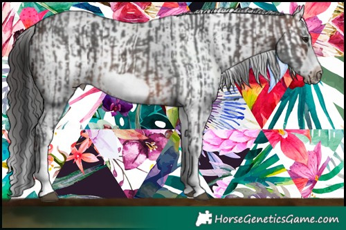 Horse Color:White Spotted Brown Mushroom Sabino Splash Frame  and White Spotted Brown Mushroom Sabino Splash Frame 