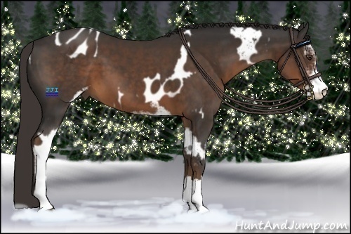 Horse Color:Liver Chestnut Sabino Splash Appaloosa and Liver Chestnut Sabino