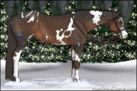 Horse Color:Liver Chestnut Sabino Splash Near Leopard  and Liver Chestnut Sabino 