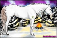 Horse Color:Liver Chestnut Sabino Splash Near Leopard  and Liver Chestnut Sabino Splash Near Leopard 