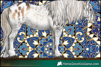 Horse Color:Liver Red Onyx Sabino Splash Blanket and Liver Red Onyx Sabino Splash Blanket