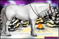 Horse Color:Bay Tobiano Appaloosa Rabicano 