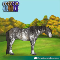 Horse Color:Buckskin Mushroom Sabino and Buckskin Mushroom Sabino