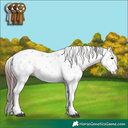 Horse Color:Chocolate Brown Sabino  and Chocolate Brown Sabino 