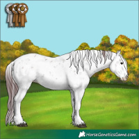 Horse Color:Chocolate Brown Sabino  and Chocolate Brown Sabino 