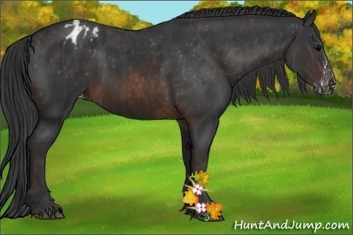 Horse Color:Brown Sabino Splash Varnish  Brindle
