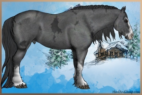 Horse Color:Blue Ice Roan Sabino  and Blue Ice Roan Sabino 