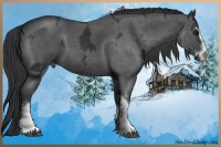 Horse Color:Blue Ice Roan Sabino  and Blue Ice Roan Sabino 