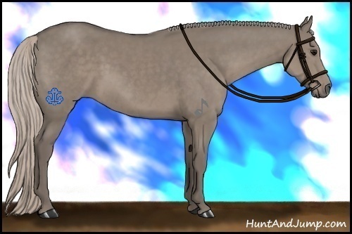 Horse Color:Silver Grullo Sabino 