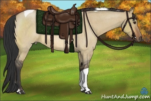 Horse Color:Bay Roan Dun Tobiano