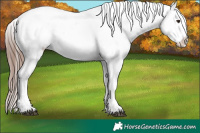 Horse Color:Liver Chestnut Sabino Splash Varnish Brindle