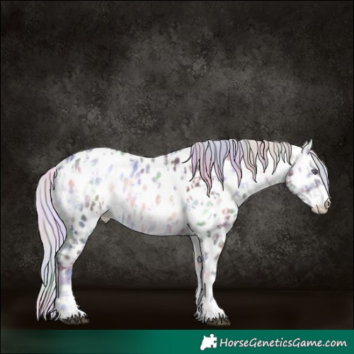 Horse Color:Nacre Silver Brown Chinchilla Onyx Sabino Near Leopard and Nacre Silver Brown Chinchilla Onyx Sabino Near Leopard