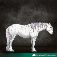 Horse Color:Nacre Silver Brown Chinchilla Onyx Sabino Appaloosa  and Nacre Silver Brown Chinchilla Onyx Sabino Appaloosa 