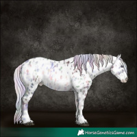 Horse Color:Nacre Silver Brown Chinchilla Onyx Sabino Near Leopard and Nacre Silver Brown Chinchilla Onyx Sabino Near Leopard