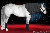 Horse Color:Amber Champagne Chinchilla Ice Sabino Splash Frame and Amber Champagne Chinchilla Ice Sabino Splash Frame