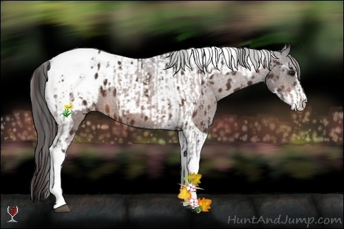 Horse Color:Bay Sabino Tobiano Appaloosa  and Bay Sabino Tobiano Appaloosa 