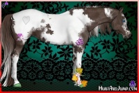 Horse Color:Liver Chestnut Sabino Splash Tobiano Frame  and Liver Chestnut Sabino Splash Tobiano Frame 