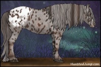 Horse Color:Liver Chestnut Sabino Splash Varnish Brindle